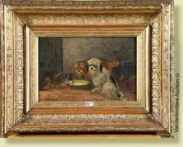Chiens Et Chat A L'assiette De Lait - view 1