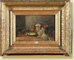 Chiens Et Chat A L'assiette De Lait