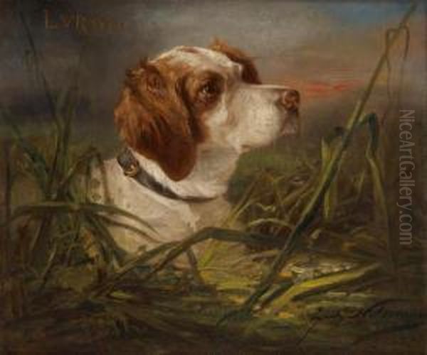 Portrait Du Chien De Chasse Luron - view 1