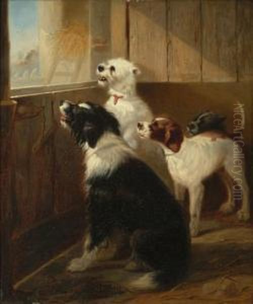 A Group Of Dogs In A Stable Interior by Zacharias Noterman