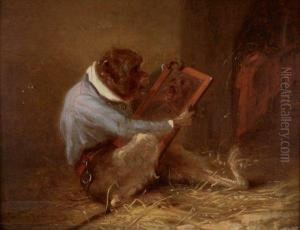 Singe Savant Au Miroir - view 1