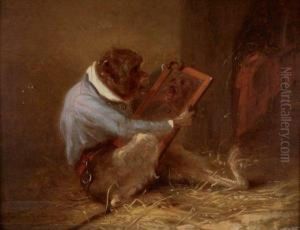 Singe Savant Au Miroir