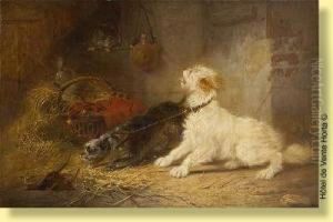 La Chasse Ecourtee