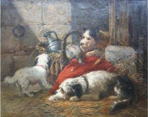 Chiots