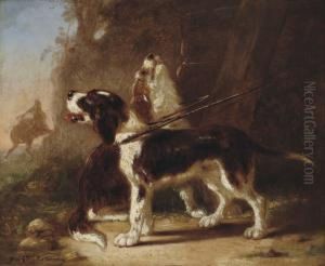 Chiens A La Chasse