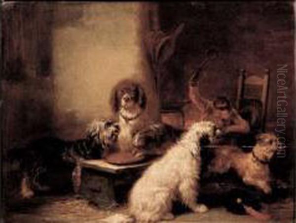 Reunion De Chiens Et Singe - view 1