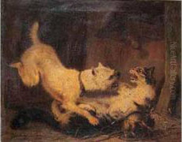 Comme Chien Et Chat - view 1