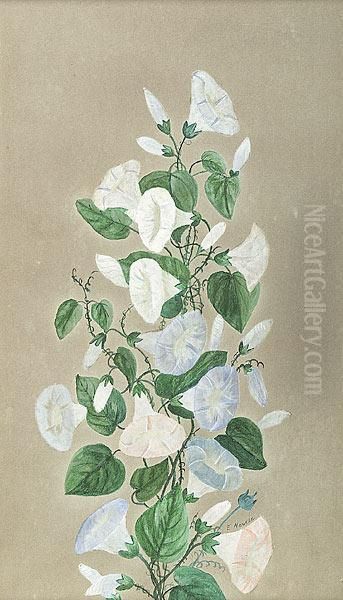 Morning Glories - view 1