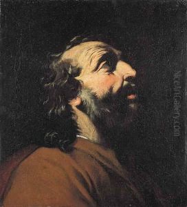 Testa D'uomo