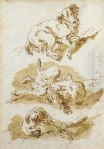 Three Studies Of A Dog Frolicking by Pietro Antonio Novelli