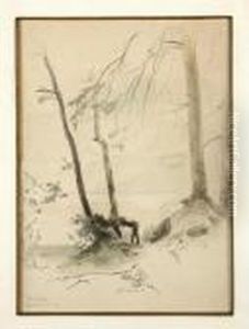 A Study Of Trees by Johann Novopacky