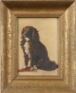 Hundportratt, Signerad Med Blyerts, Olja Pa Pappanna, 19,5x14 by Johann Novopacky