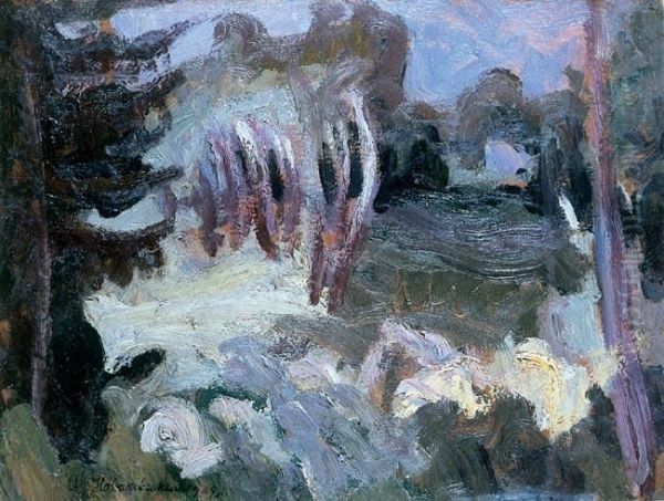 Letni Widok, 1929 R. - view 1