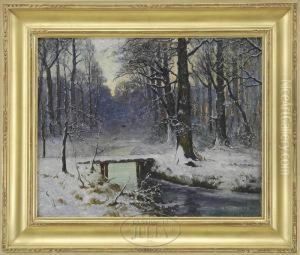 Sunset Winter Solitude