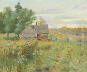 Wildflower Garden
