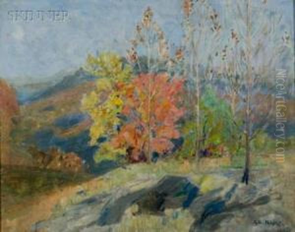 Early Spring In The Mountains - view 1