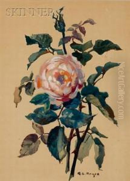 Portrait Of A Rose - view 1