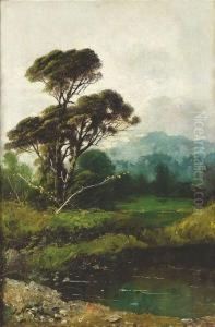 Nozal, Alexandre. Summery Landscape With A Big Pine by Alexandre Nozal