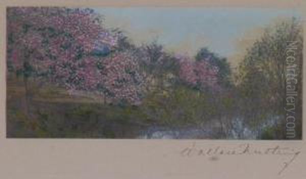 Landscape - view 1