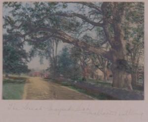 The Great Waysideoak by Wallace Nutting