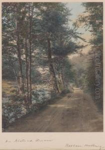 An Alstead Stream - view 1