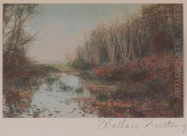 Landscape - view 1