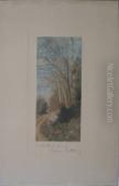 A Sheltered Road - view 1