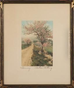 Fairway by Wallace Nutting