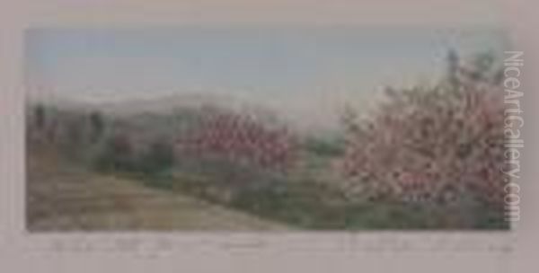 White Mts From Carrall - view 1