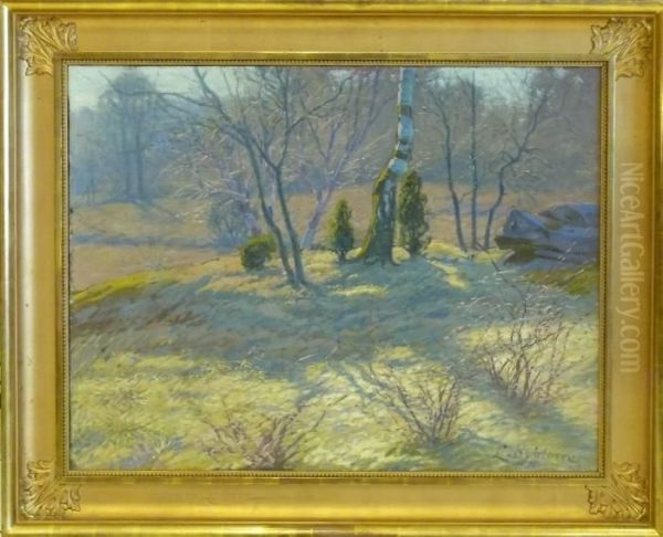 Varlandskap. - view 1