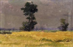 Summer Landscape by sandor Nyilasy