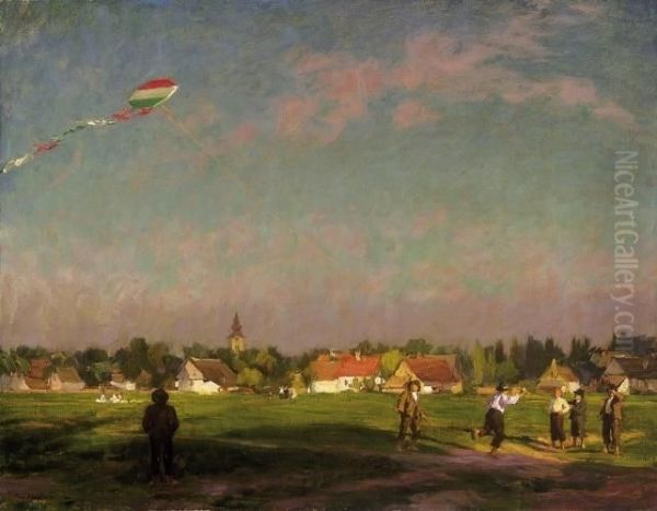 Kite-flying - view 1