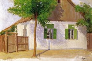Shadows On The House by sandor Nyilasy
