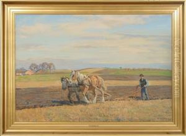 Fieldwork - view 1