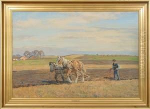 Fieldwork