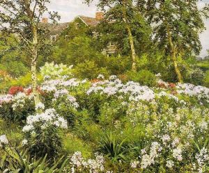 A Garden 1911 by Gaines Ruger Donoho