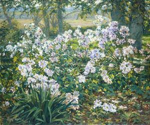 Windflowers 1912 by Gaines Ruger Donoho