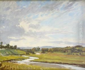 The Liffey At Straffan