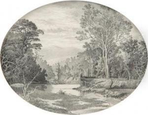 South Island River Scene South Island River Scene