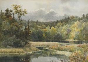 Lake In The Woods by Lucius Richard O'Brien