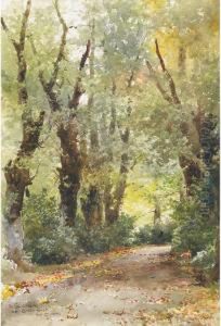 The Laurel Walk, Clovelly Court, Sept 27 The Laurel Walk, Clovelly Court, Sept 27