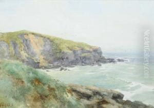 Coastal Cliffs And Gulls