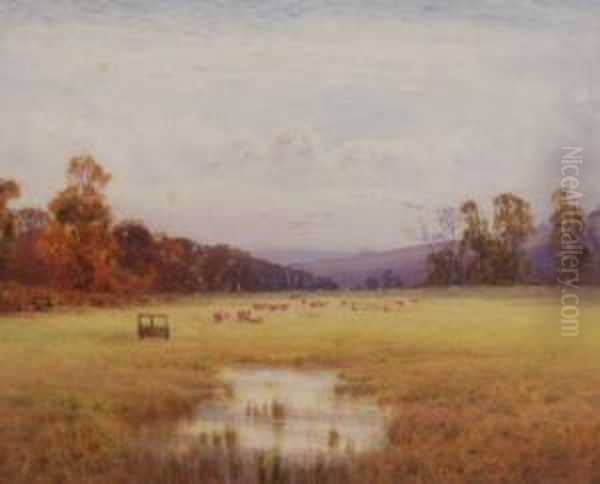 Cows At Pasture - view 1