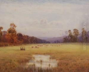 Cows At Pasture by Helen O'Hara