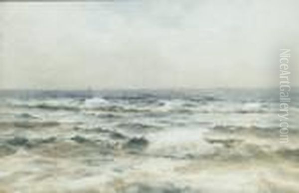 Seagulls Over Surf - view 1