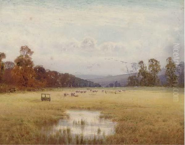 Sunlit Fields - view 1