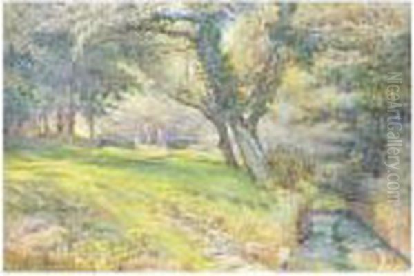 The Path Beside The Brook - view 1