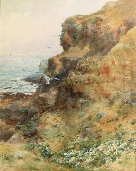 Cliffs, Co.derry - view 1
