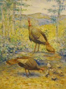 Wild Turkey And Canadian Geese by Aloysius C. O'Kelly