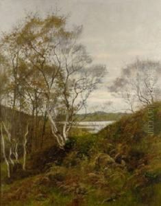 View Of A Lake Through Trees by Aloysius C. O'Kelly